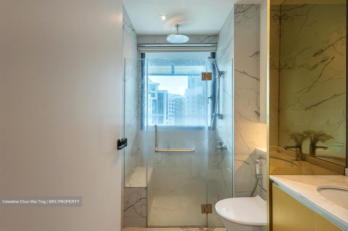 Robin Suites (D10), Apartment #483310891